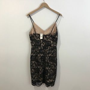 Express Dresses - Black Lace Express Dress Express Dresses - Black Lace Express Dress